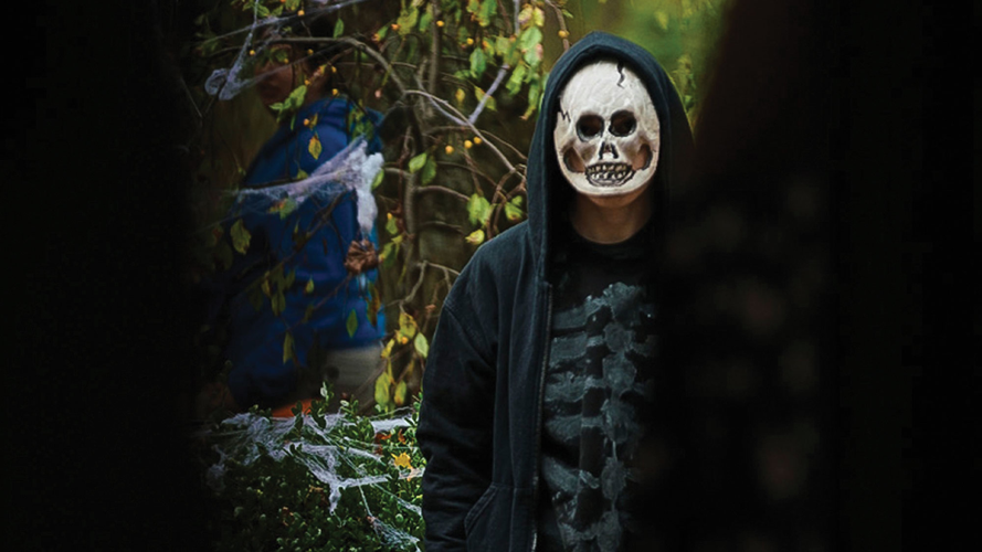 Canadian Horror, Killer Kaiju and a Seafaring Anne Murray, Now Available to Stream