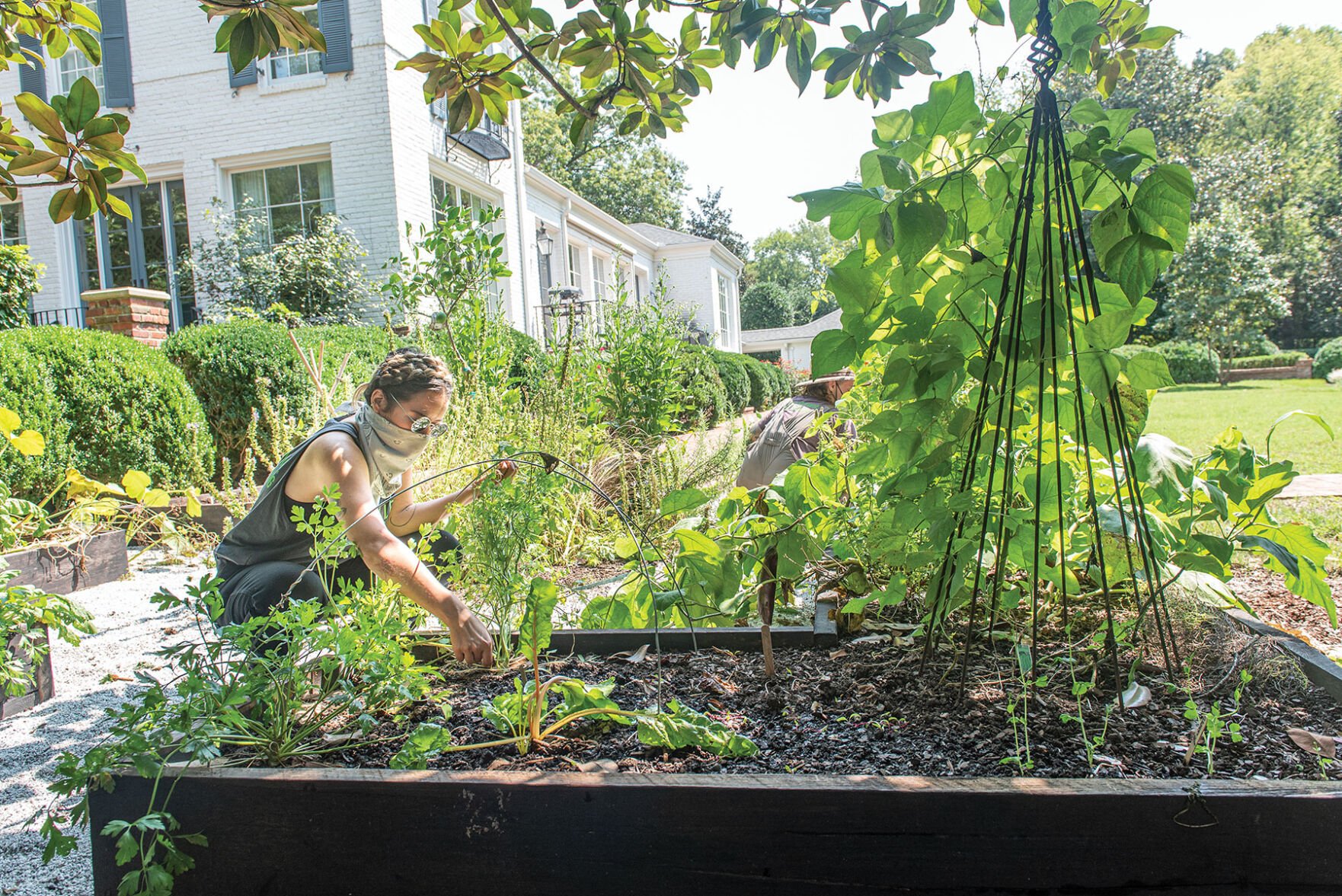 Nashville Foodscapes