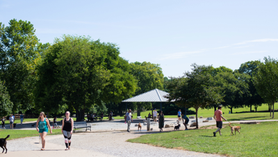 Best Dog Park