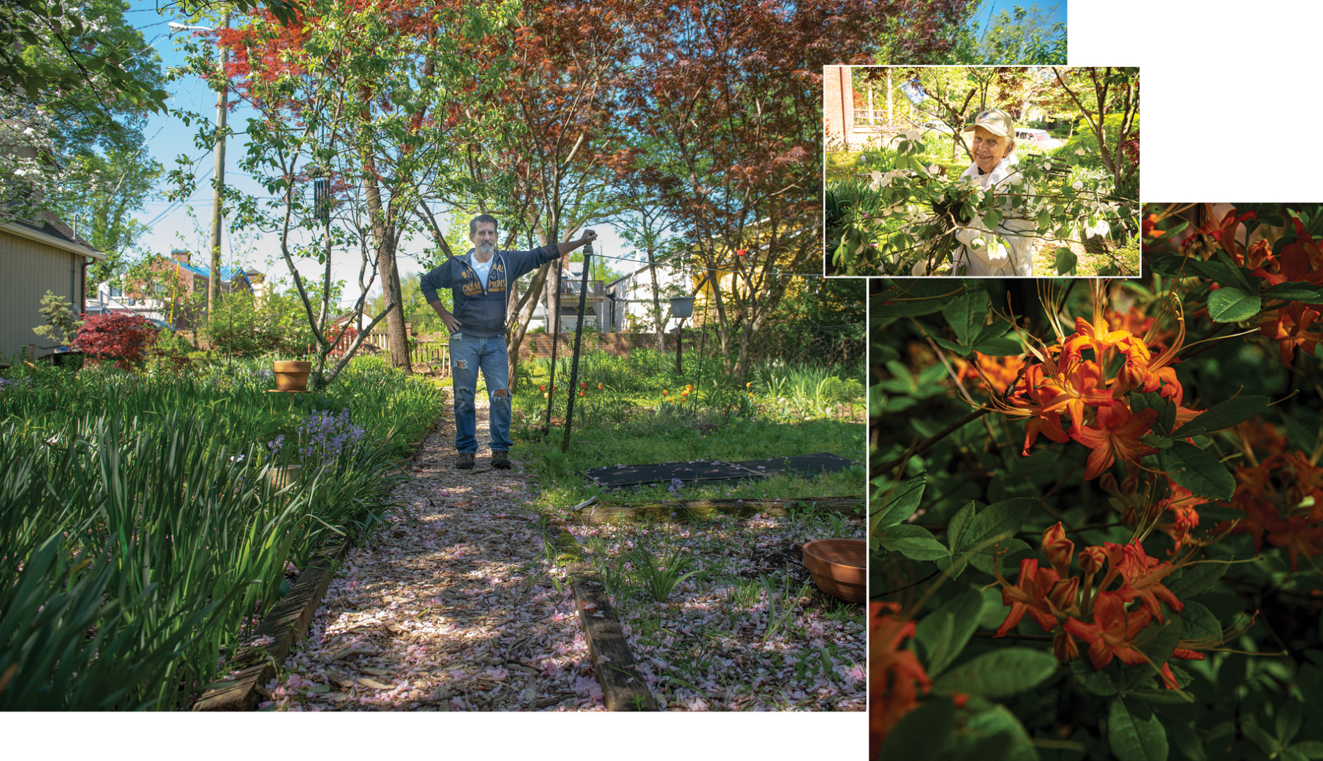 What Gardens Can Teach Us About Art and Survival During a Global Pandemic