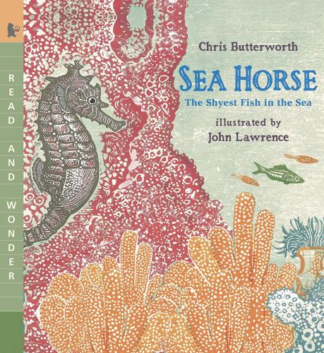 Sea Horse