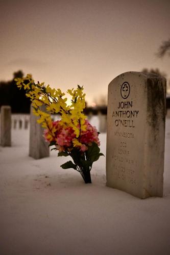 January 2026 Winter Storm