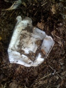 Breaking Down the Breakdown of a Green Takeout Box