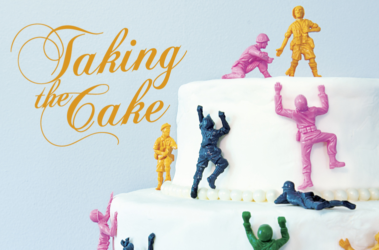 Emboldened by recent success, activists are launching an assault on Tennessee’s same-sex marriage ban