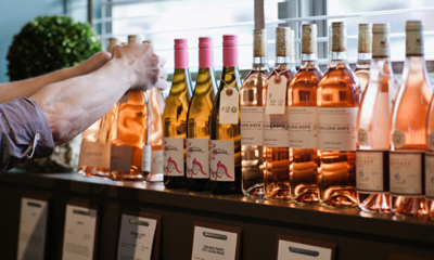 Best Place to Discover Your New Favorite Wine