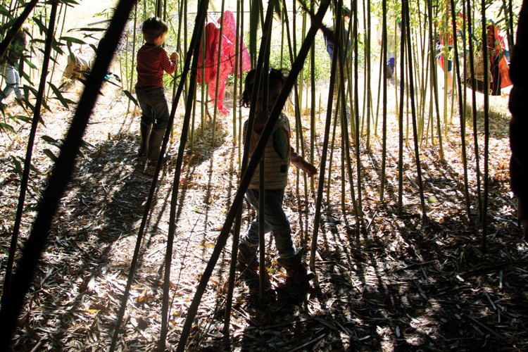 For Schools That Use the Reggio Emilia Method, Children Lead the Curriculum