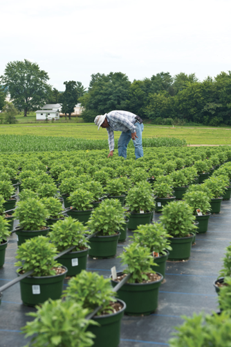 The Uncertain Fate of Migrant Workers and Their Families
