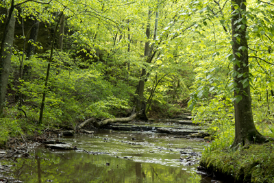 Beaman Park