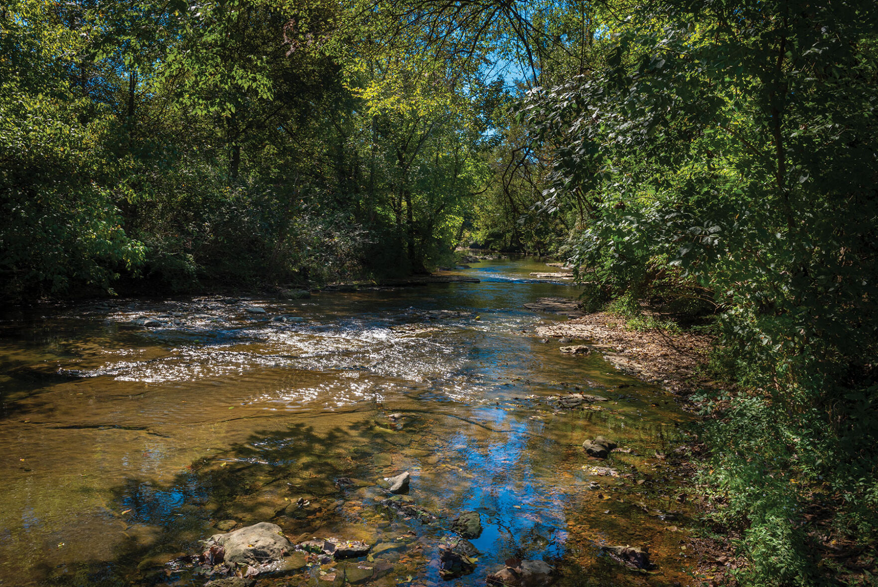 The Trails at Fontanel