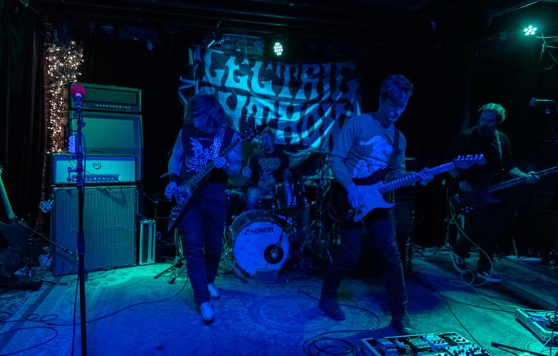 Electric Python high res-3.jpg