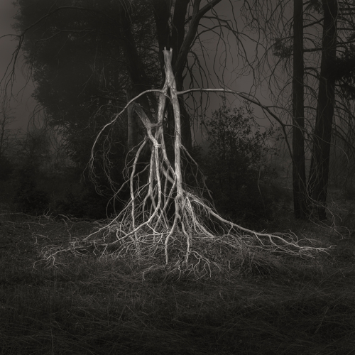 Winter Arts Preview 2019: Visual Art