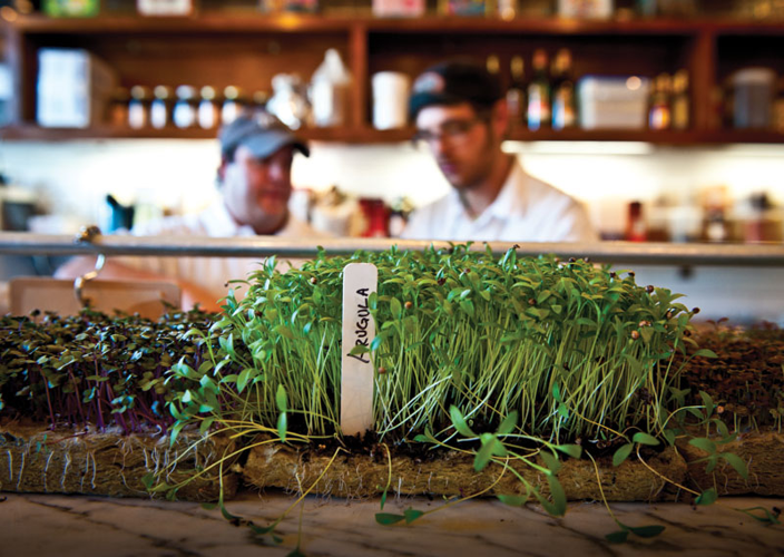 Tayst owner Jeremy Barlow starts up Sloco, a sustainable sandwich stop
