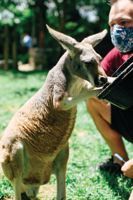 The Pet Issue 2021: Training Day