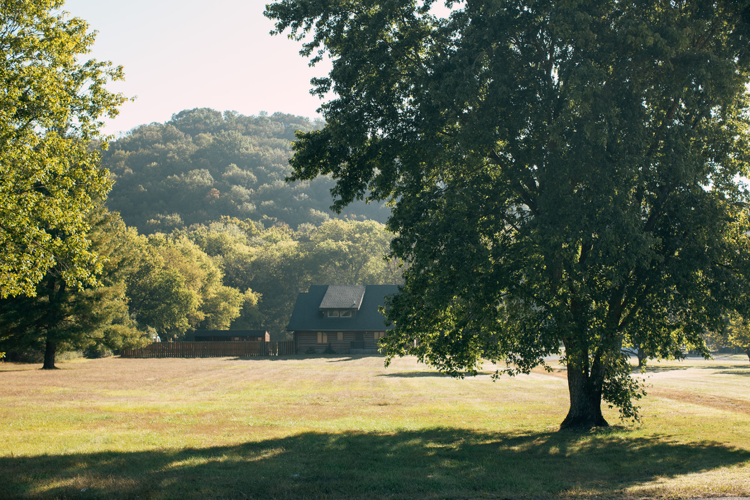 Walk a Mile: Whites Creek