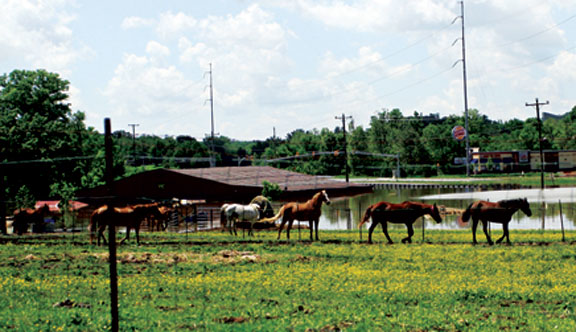 2010 Flood