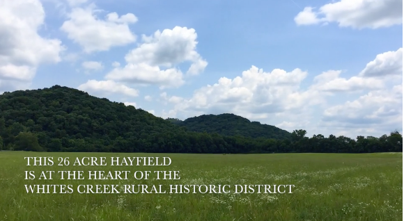 Protecting Whites Creek: It’s Already Wonderful. You Don’t Have to Lie About It.