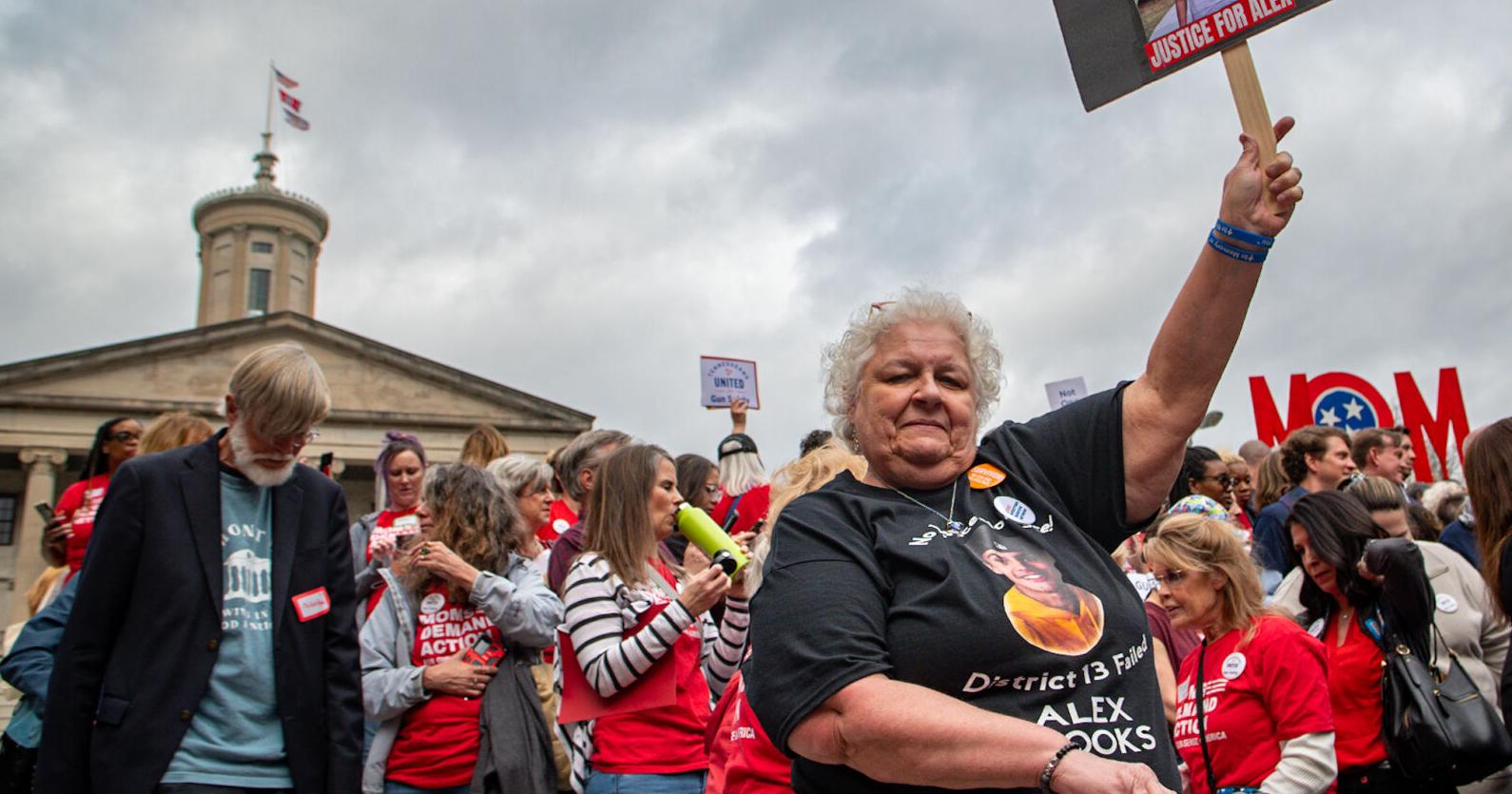 Advocates Once Again Call for Gun Reform at the Capitol | Pith in the Wind - Vimarsana News