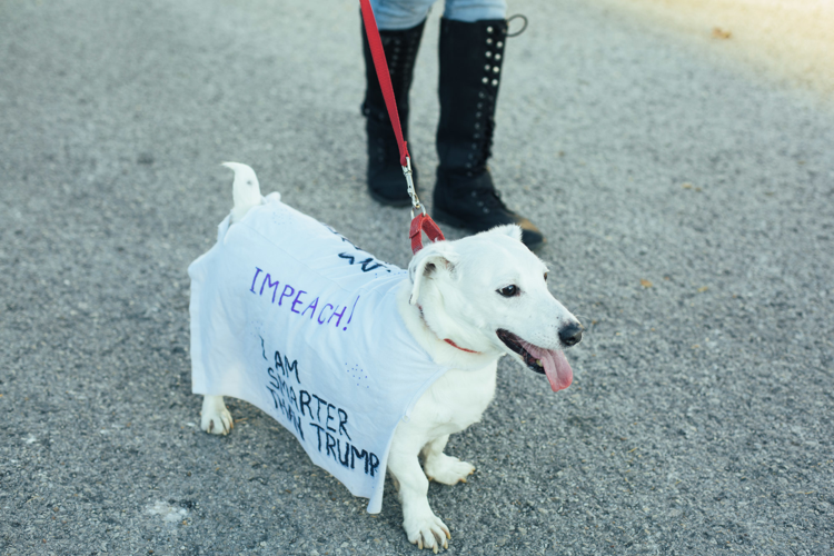 Estimated 15,000 Come Out for Women's March 2.0