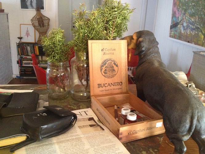 Studio Visit: Courtney Adair Johnson