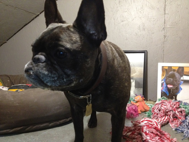 Studio Visit: Ryan Nole (Part One)