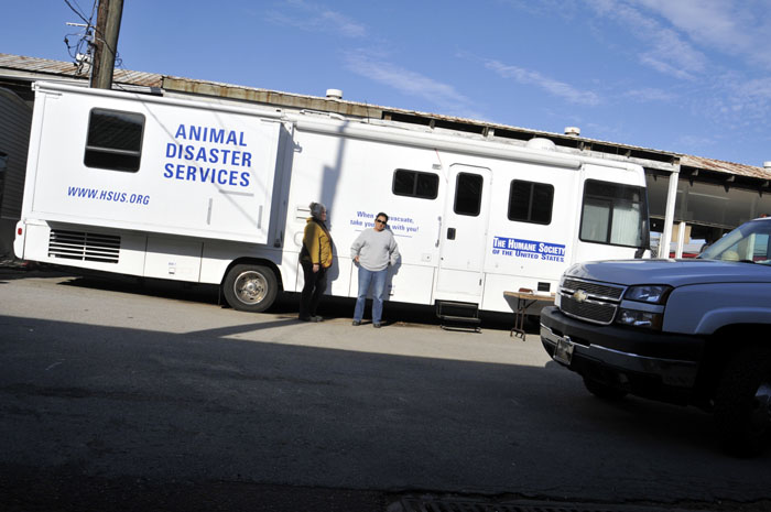 All the Starving Horses