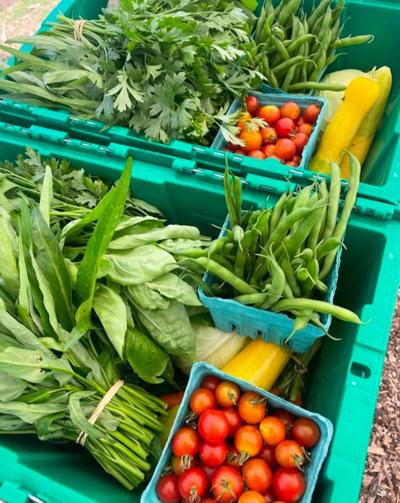 Growing Together CSA Box