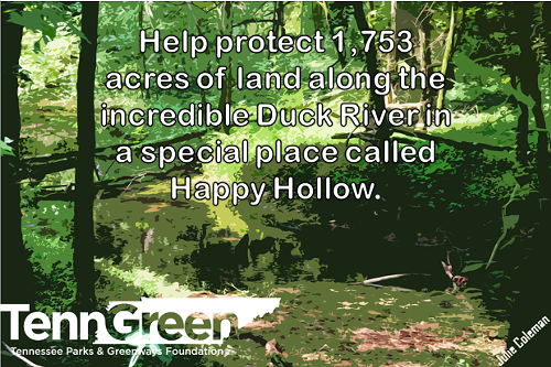 Cheetah Chrome: The Cream Interview 2014