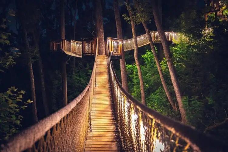 Anakeesta-Treetop-Skywalk-at-Night-2-1000x666.jpg