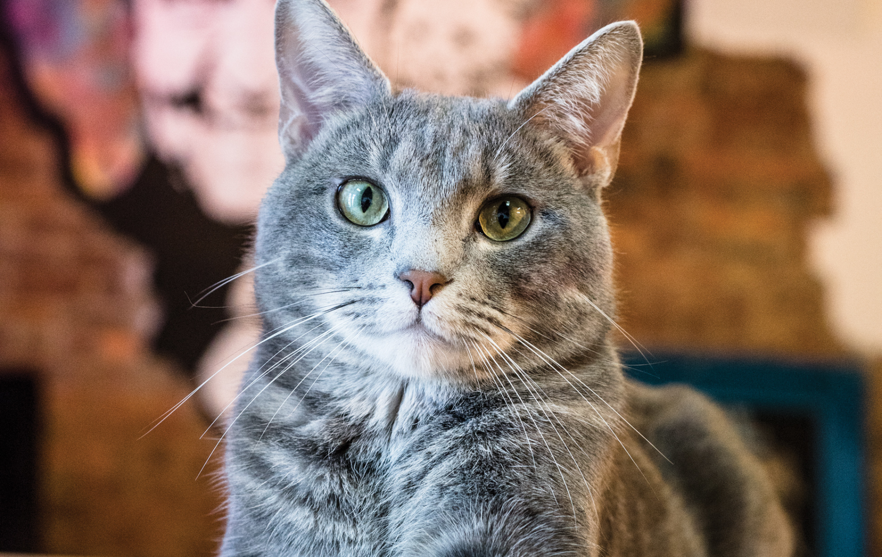 Best Place to Find a Friend