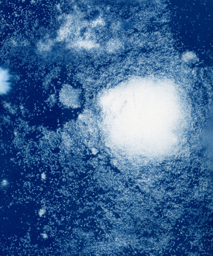 Critic/Ally: Caroline Allison