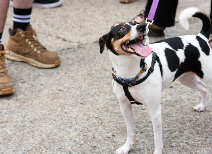 Get Happier Friday 8.5.22-5.jpg