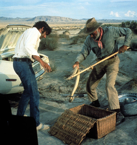 The Belcourt's road-movie retro puts the viewer in the driver's seat