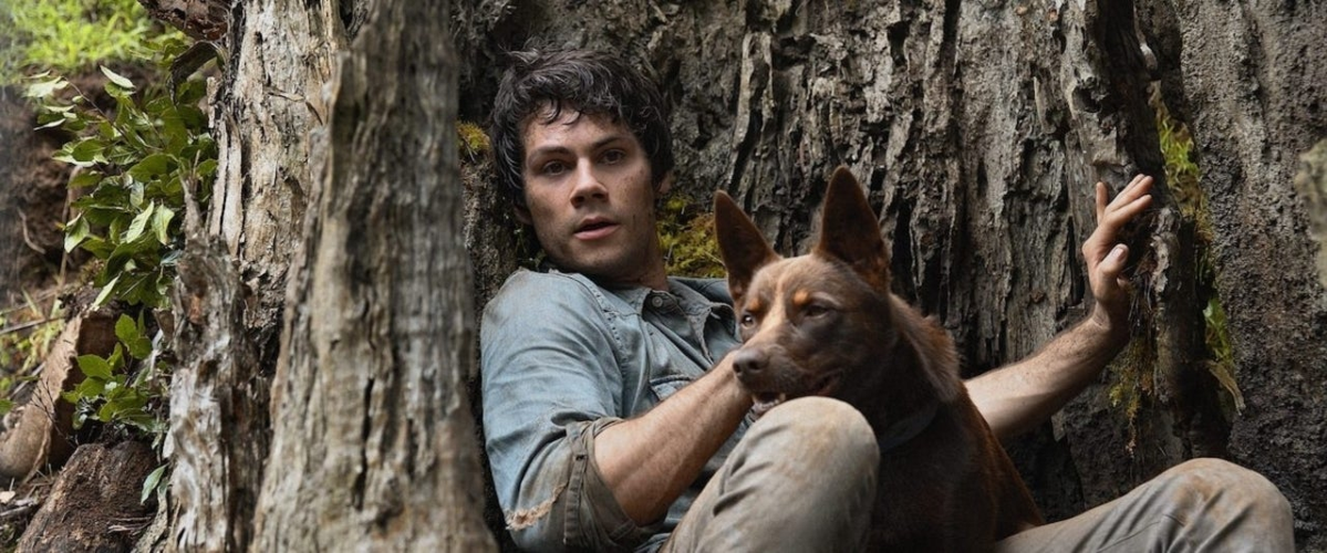 A Plethora of Halloween-Friendly Films, Now Available to Stream