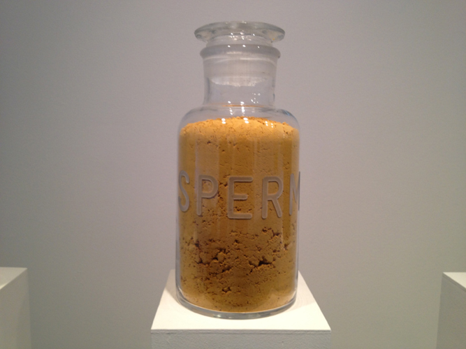 Installation View: Mathilde Roussel's <i>Anatomia Botanica</i> at Cheekwood