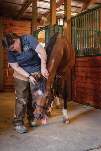 The Pet Issue 2021: Horsin’ Around