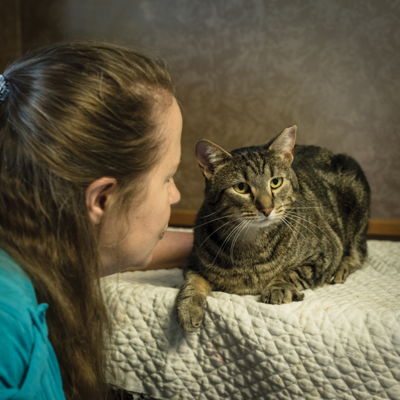 Best Place to Adopt a Pet