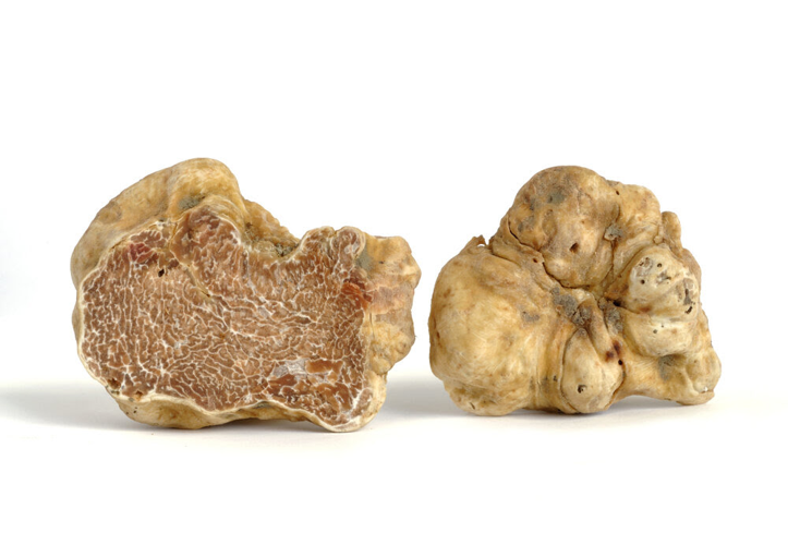 Mediterranean Restaurant Santo Plans an Ultra-Luxurious White Truffle Dinner