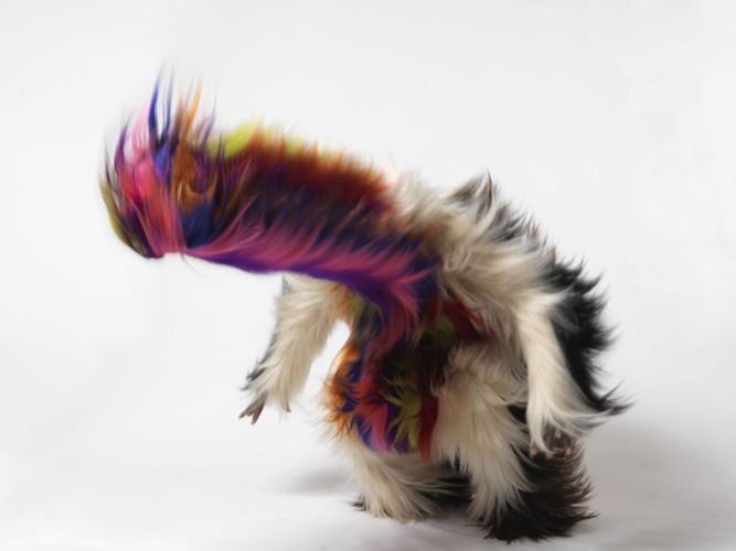 Art-On: Nick Cave's Soundsuits