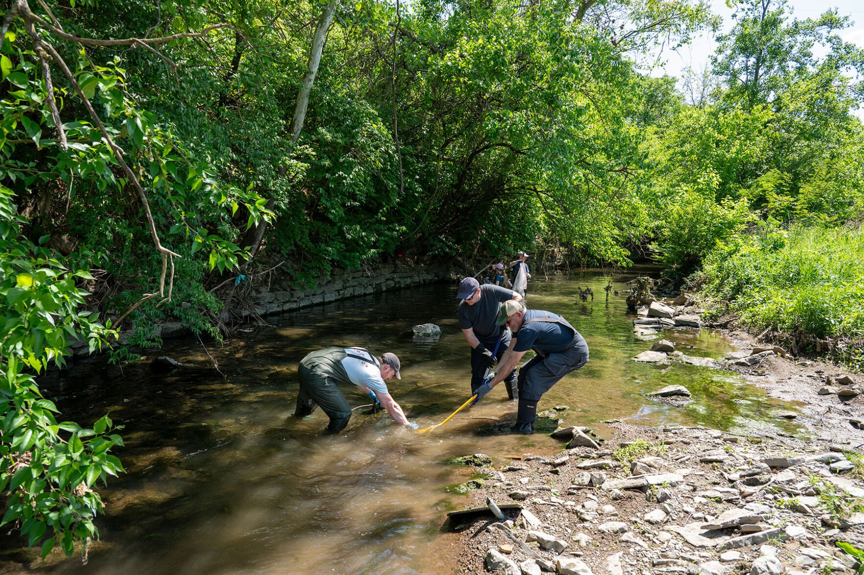 Browns Creek cleanup