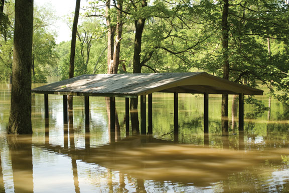 2010 Flood
