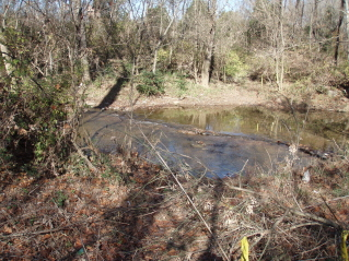 The Whites Creek Greenway: A Review