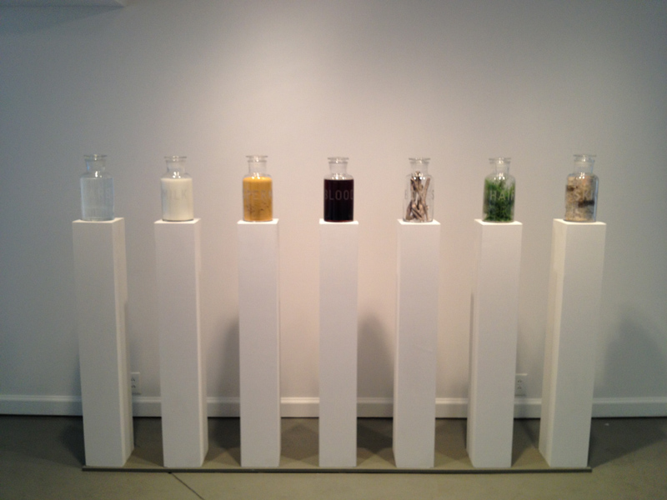 Installation View: Mathilde Roussel's <i>Anatomia Botanica</i> at Cheekwood