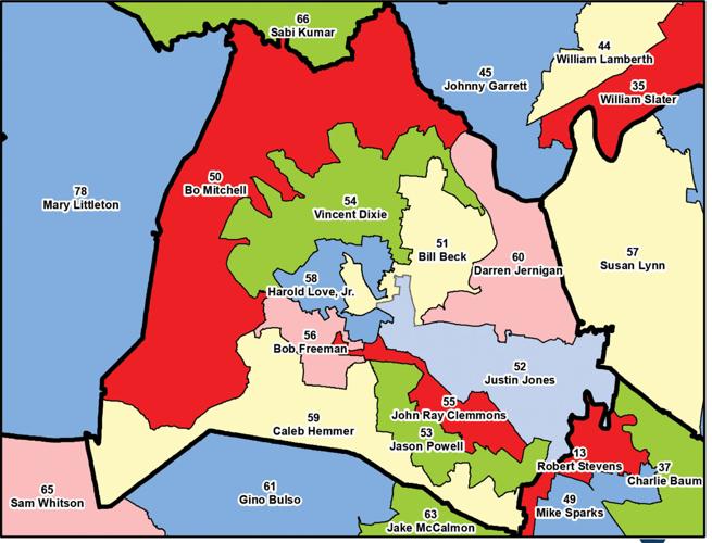 Davidson County's state House districts