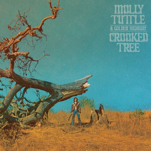 Molly Tuttle Crooked Tree album art
