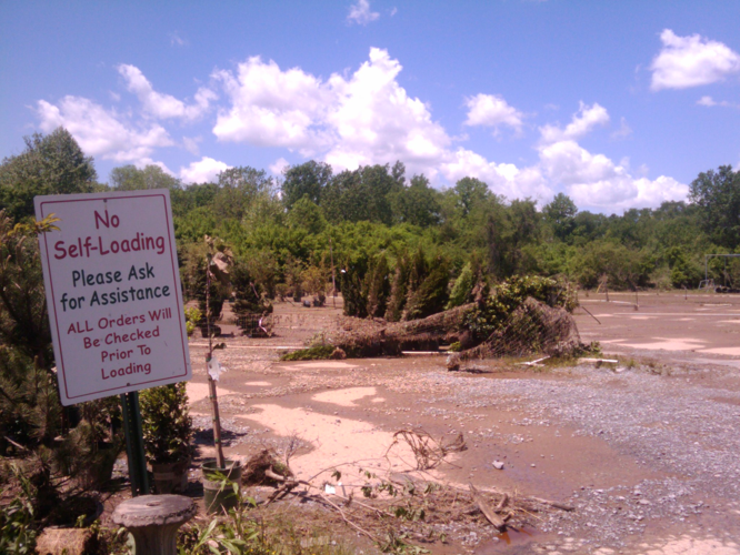 2010 Flood