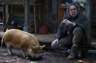 Pig