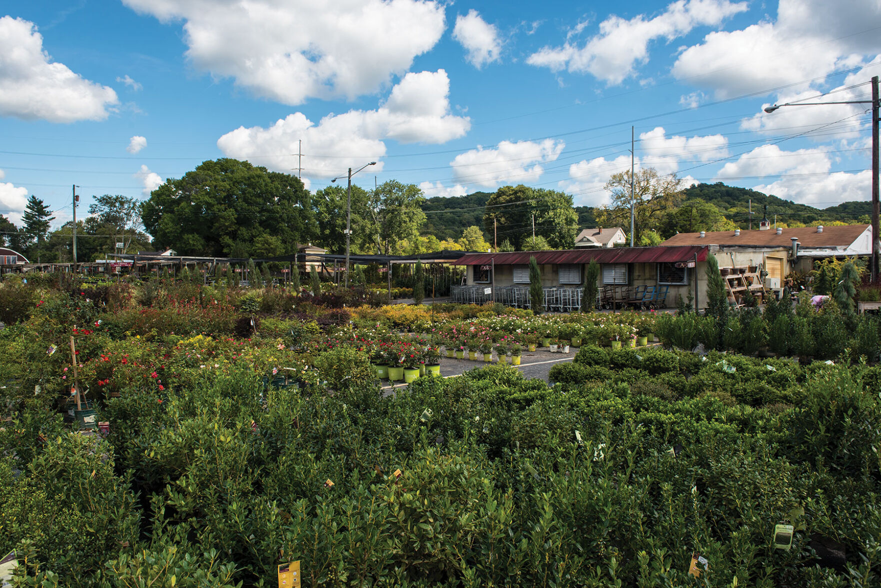 BatesNursery-9689.jpg