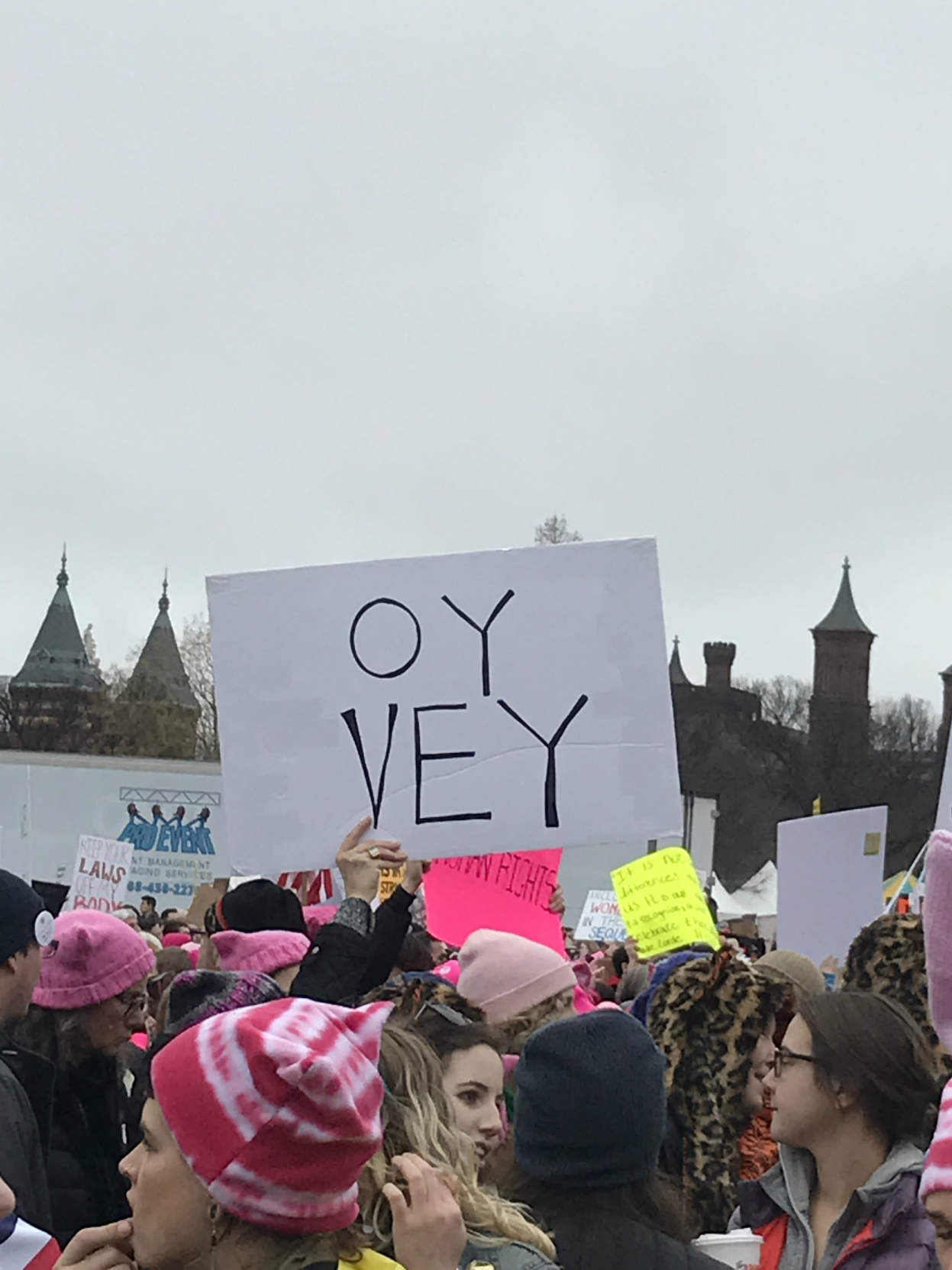 What I Saw at the D.C. March (And What I Must Do)