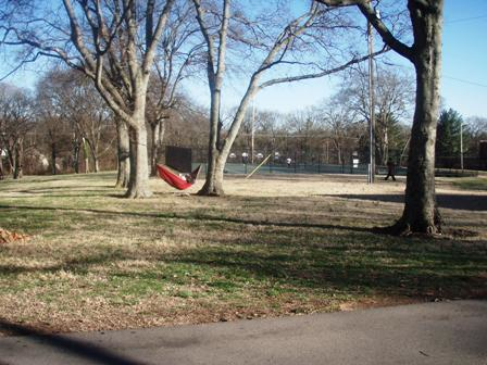 Sevier Park: A Review