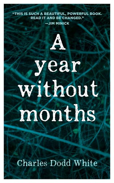 A year without months